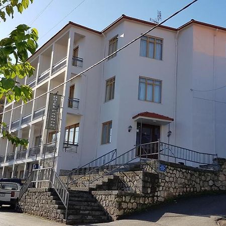Parnon Hotel Agios Petros  Exteriér fotografie